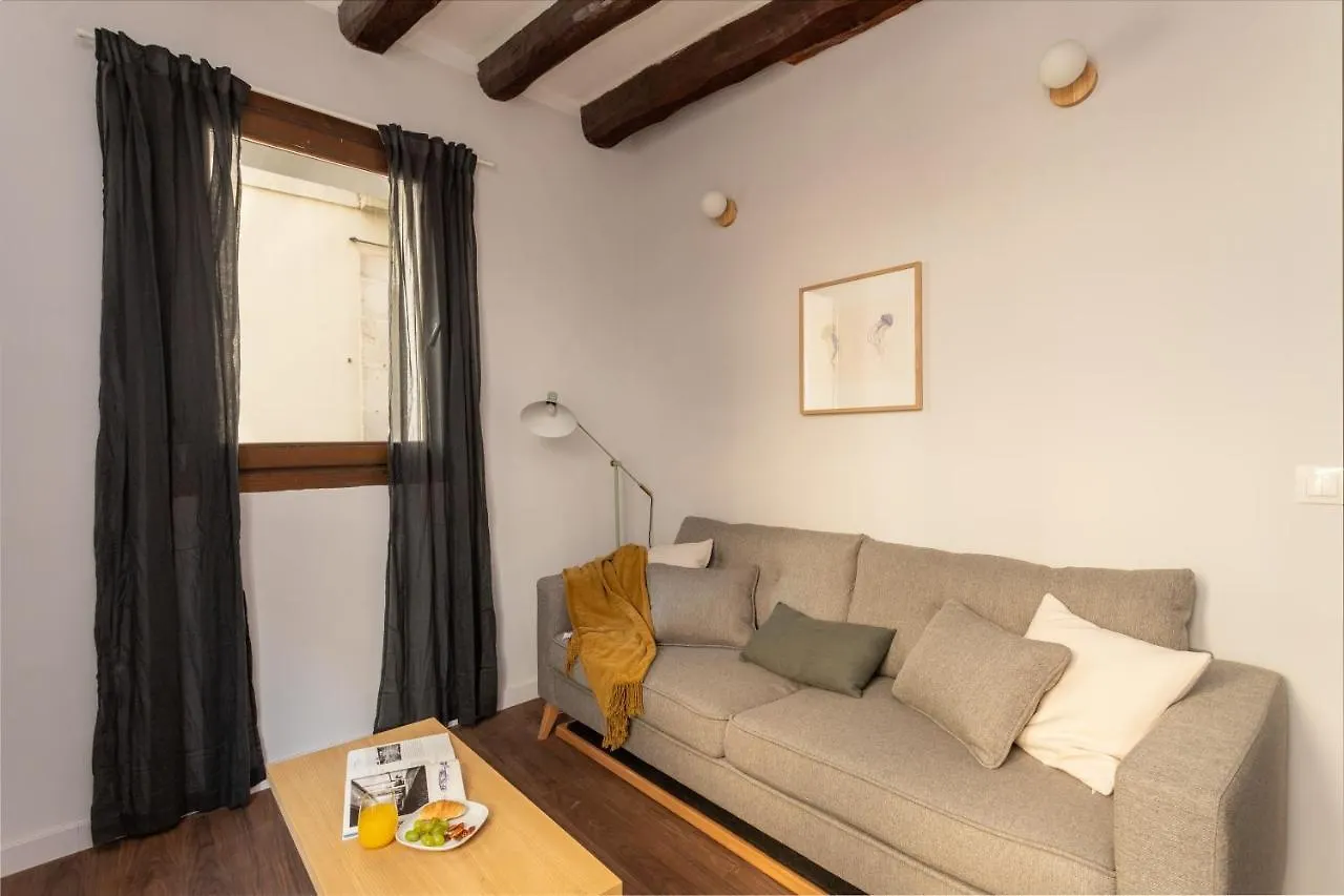 Barcelona Apartments In Born